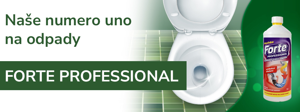 FORTE PROFESSIONAL